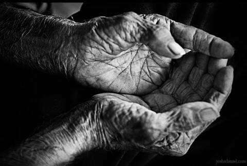 The Inkling: PALM by Ngozi The&nbsp;Blessed